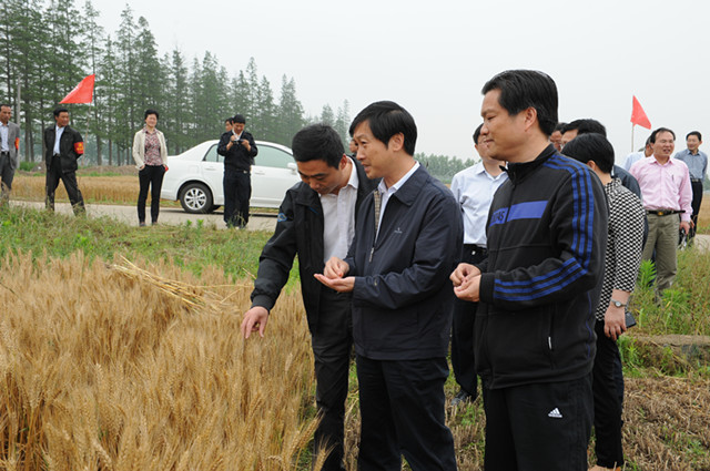 赶农时 保质量 努力提高秸秆综合利用率