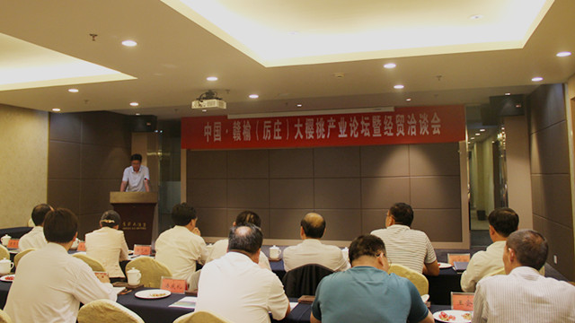 樱桃为媒引来2.35亿元投资