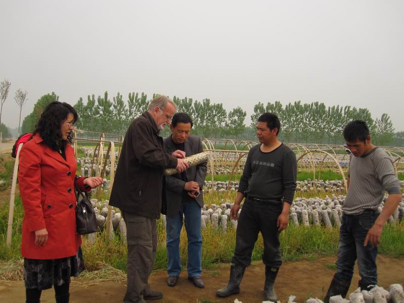 法国专家苏尔梯?多米尼克来赣榆考察指导蔬菜生产