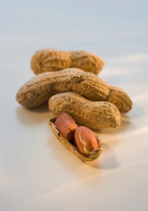 每天10颗花生 无需节食月瘦7斤(多图)