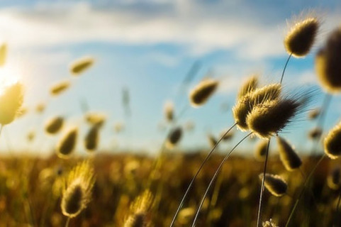 如果爱，就一条道儿走到黑