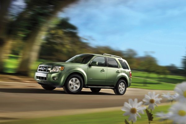 用心关爱地球  呼唤绿色驰骋