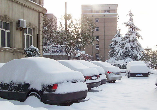 大雪过后莫偷懒 洗车一定要及时
